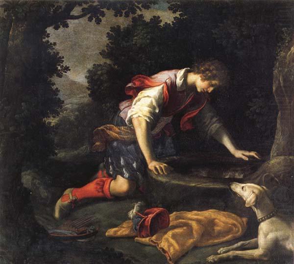 Francesco Curradi Narcissus at he Spring china oil painting image